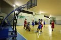 Basket 443090